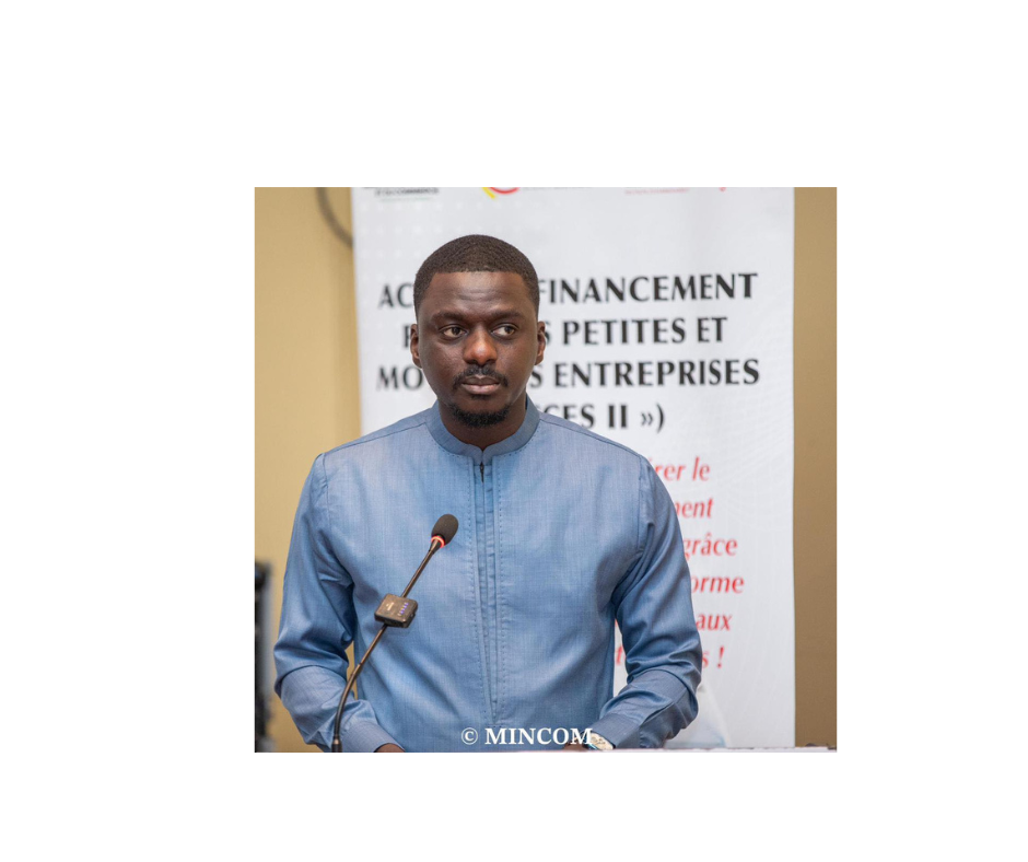 cartographie PME_PMI