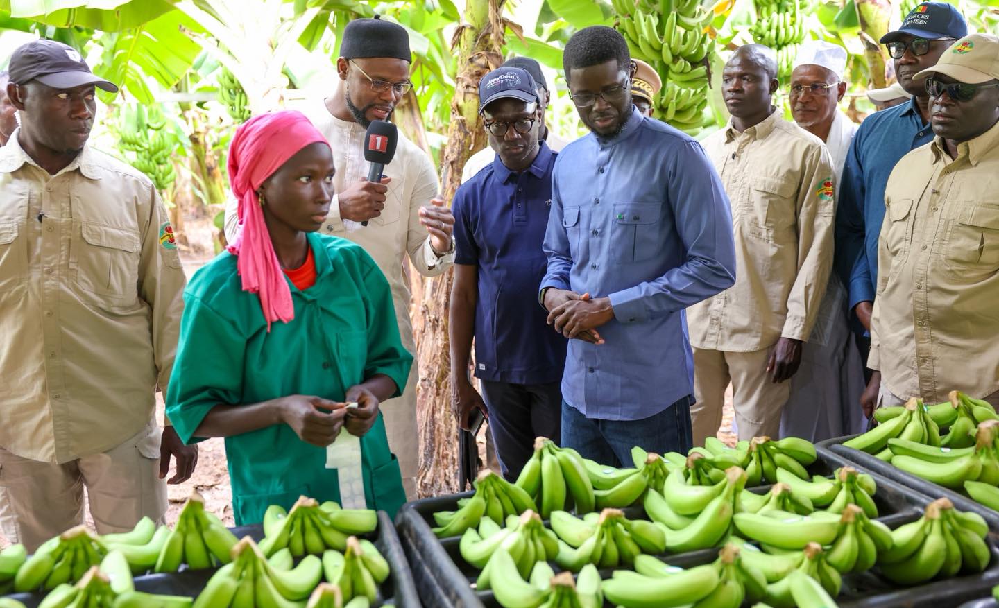 Visite à Tambacounda